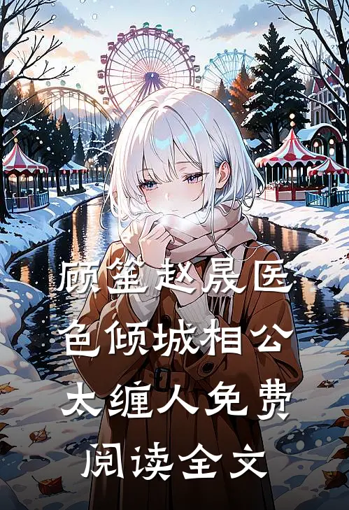 顾笙赵晟是什么小说