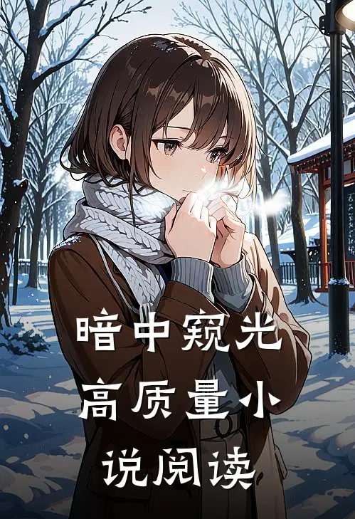 暗中窥光高质量阅读