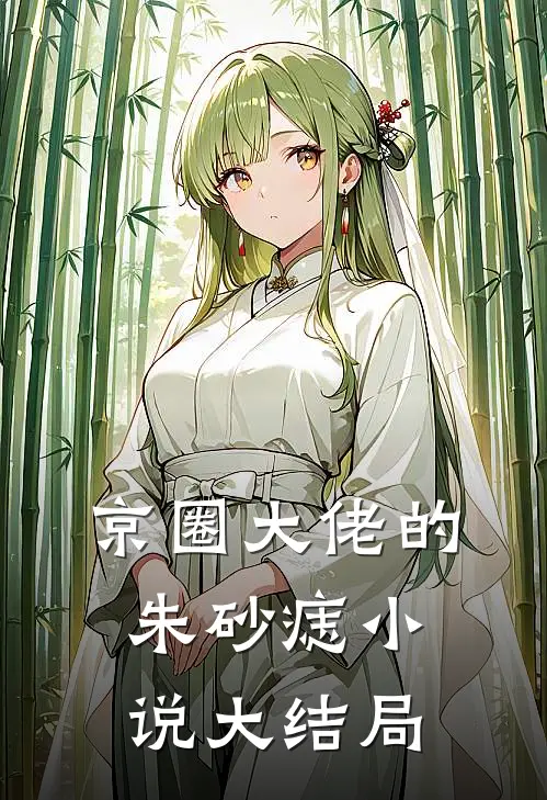 京圈大佬的朱砂痣小说大结局