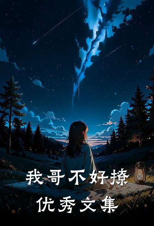 我哥不好撩优秀文集