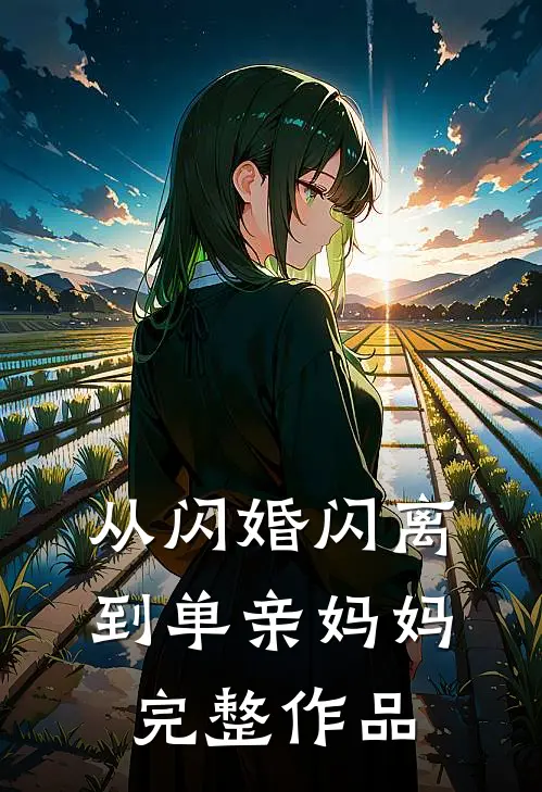 从闪婚闪离到单亲妈妈完整作品