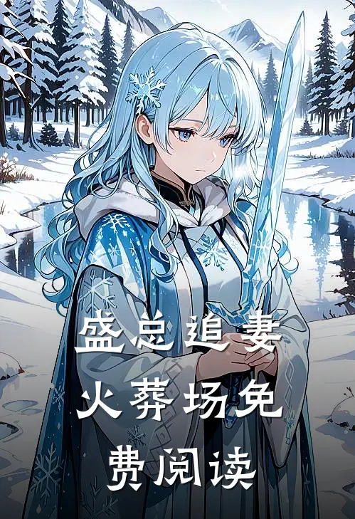 盛总追妻火葬场免费阅读