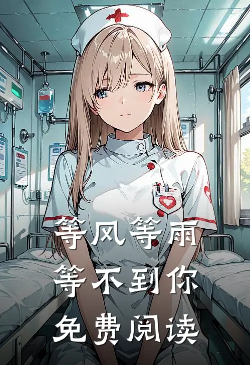 等风等雨等不到你免费阅读
