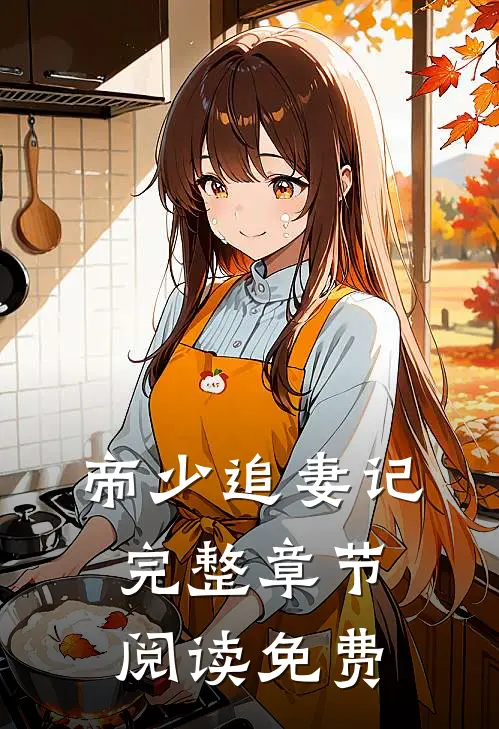 帝少追妻记完整章节阅读免费