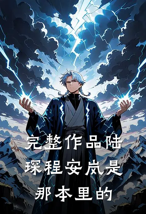 完整作品陆琛程安岚是那本里的