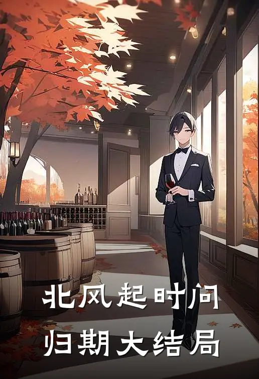 北风起时问归期大结局