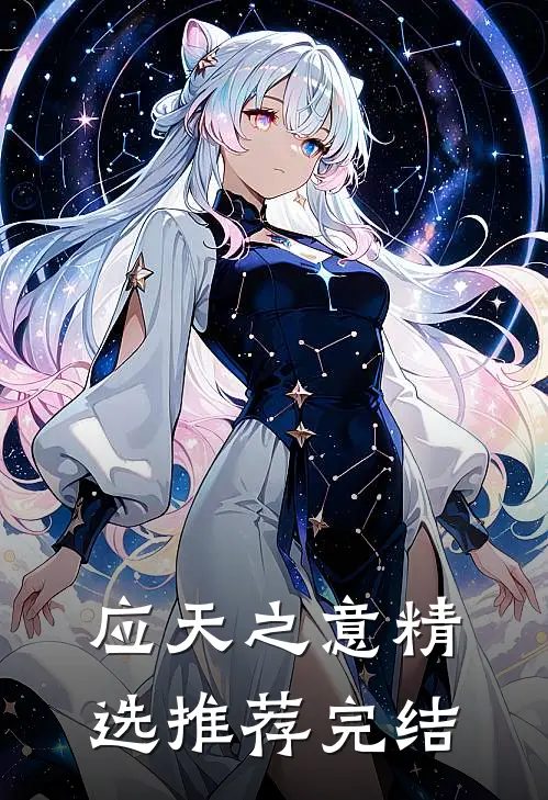 应天之意精选推荐完结