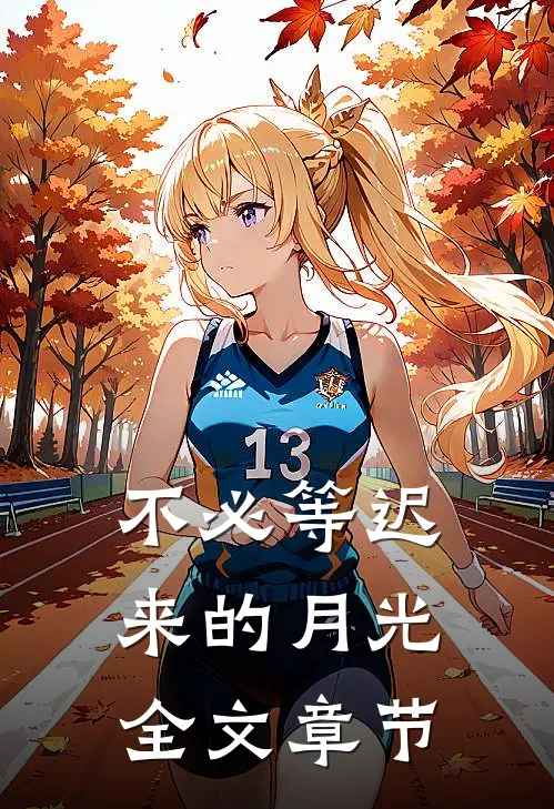 不必等迟来的月光全文章节
