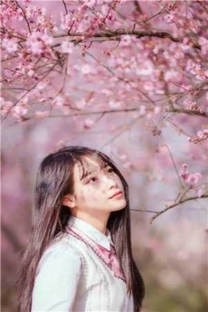 末世穿八零藏族，撞上顶级修罗场完结