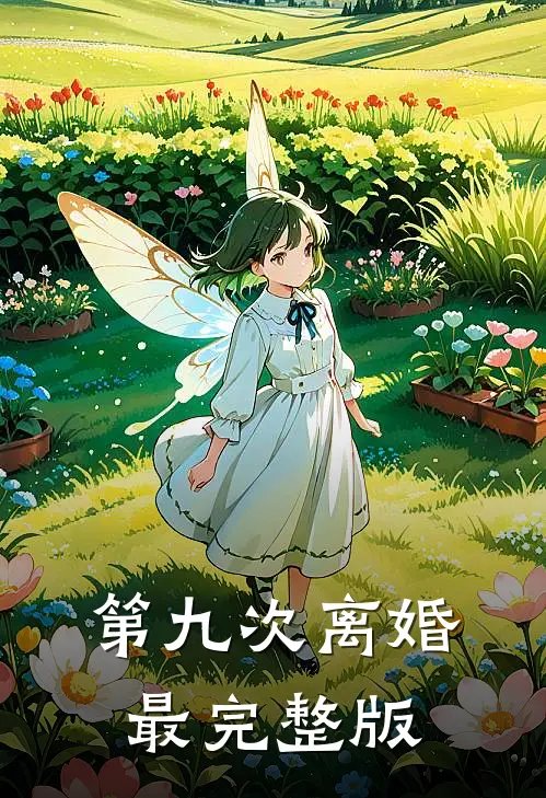 第九次离婚最完整版