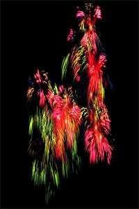 爱染鲜血，恨意滔天完整文集阅读