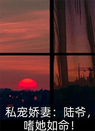 被逼嫁克妻大佬？反成首长家团宠萧京平丁夏结局+番外
