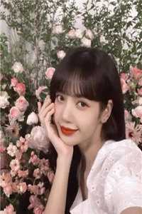 旧风未散的夏天by