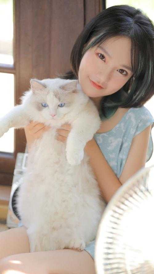 星光跌入他眼眸完结文