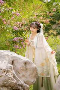 表面勾栏听曲，暗地我执掌天下！林尘柳如烟全局