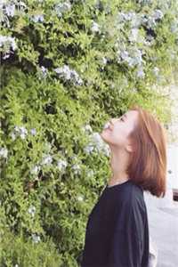 步步为营，禁欲大佬诱她沉沦番外+无删减