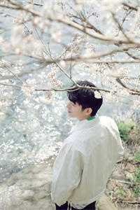 离婚分了五个亿，父母让我滚出家合集585热门小说