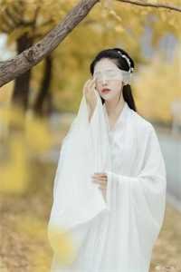 嘉木不明青山远在线阅读全本阅读