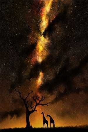 忽闻秋风起，送君永不归完结txt