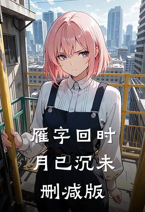 雁字回时月已沉未删减版