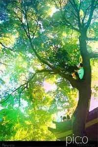 月下有你花下无你大结局