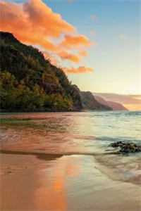 星光跌入他眼眸全文免费阅读