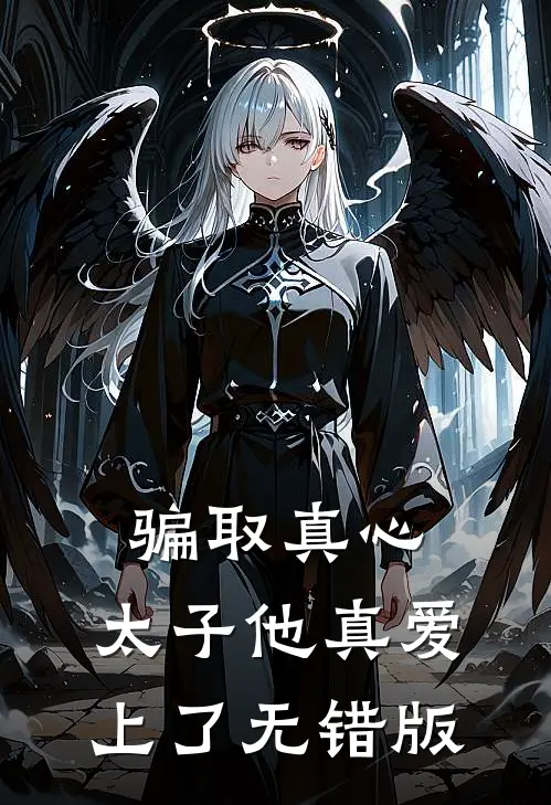 骗取真心，太子他真爱上了无错版