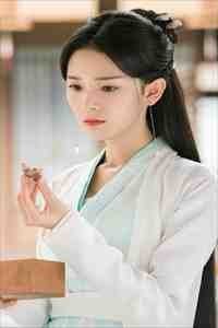 情似残梦随风逝爆火全网