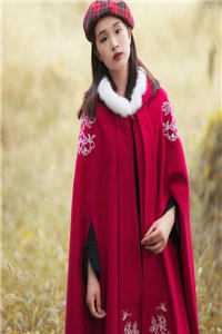 梨花落尽，云散夜未明在线