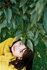 爱若冷风，薄凉刺骨完整作品