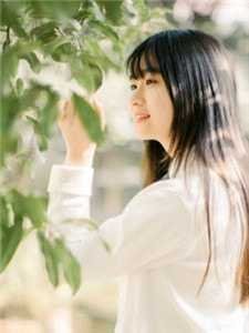 江南日暖夜微雨完整文集阅读