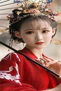 赘婿：满门遗孀，我只好权倾天下后续