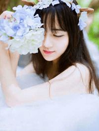 梨花落尽，云散夜未明全文免费