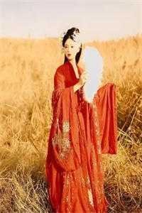 揣孕肚去父留子后，病娇太子气疯免费看