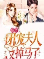 随星，随月，随清风免费阅读