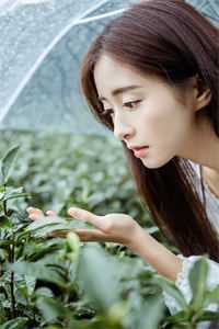 她送去风月一盏小说畅读