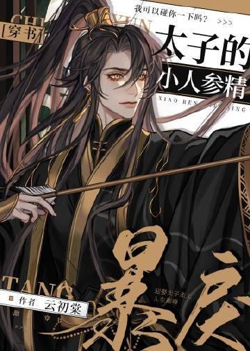 二婚玫瑰小说TXT下载免费