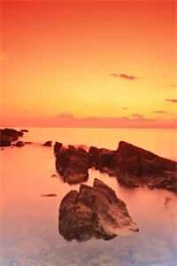 小姨子流产八次后，我选择离婚全文+番外