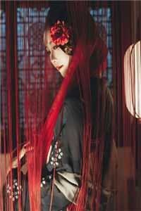 大婚当日九皇子要我给侍女磕头，太子一怒抢亲无删减