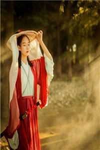 何以残影断归鸿全文+免费