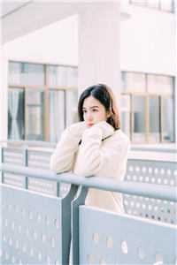 暗恋听见了回响小说