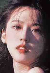 星光跌入他眼眸全篇