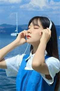 风停后无人归全章阅读