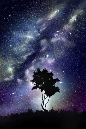 圣诞被离婚，跨年当富婆后续+番外