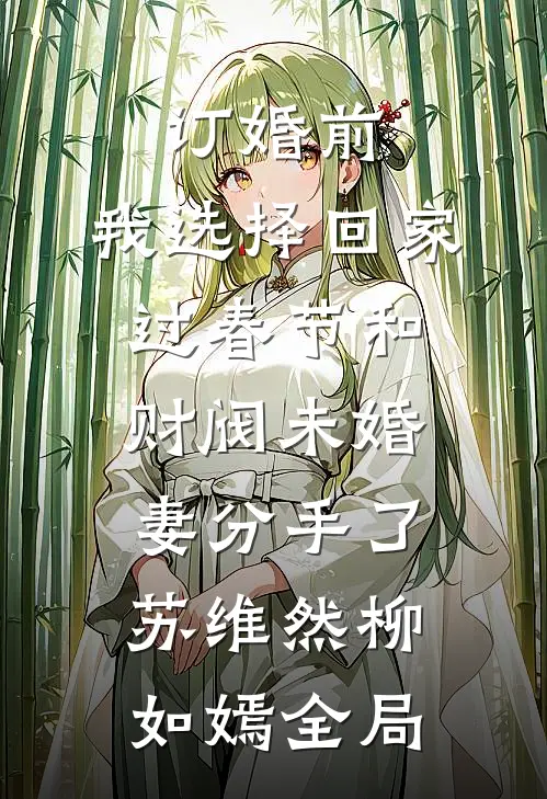 订婚前，我选择回家过春节和财阀未婚妻分手了苏维然柳如嫣全局