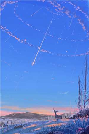 疯批！新婚王妃猛如虎，专治不服全文+后续