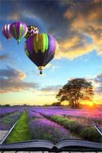 对不起，是我高攀了畅读