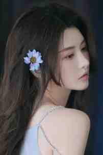 长亭晚照离人影前文+番外