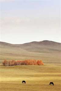 暮雪葬归途精彩