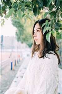 山河不老，故人长诀全新